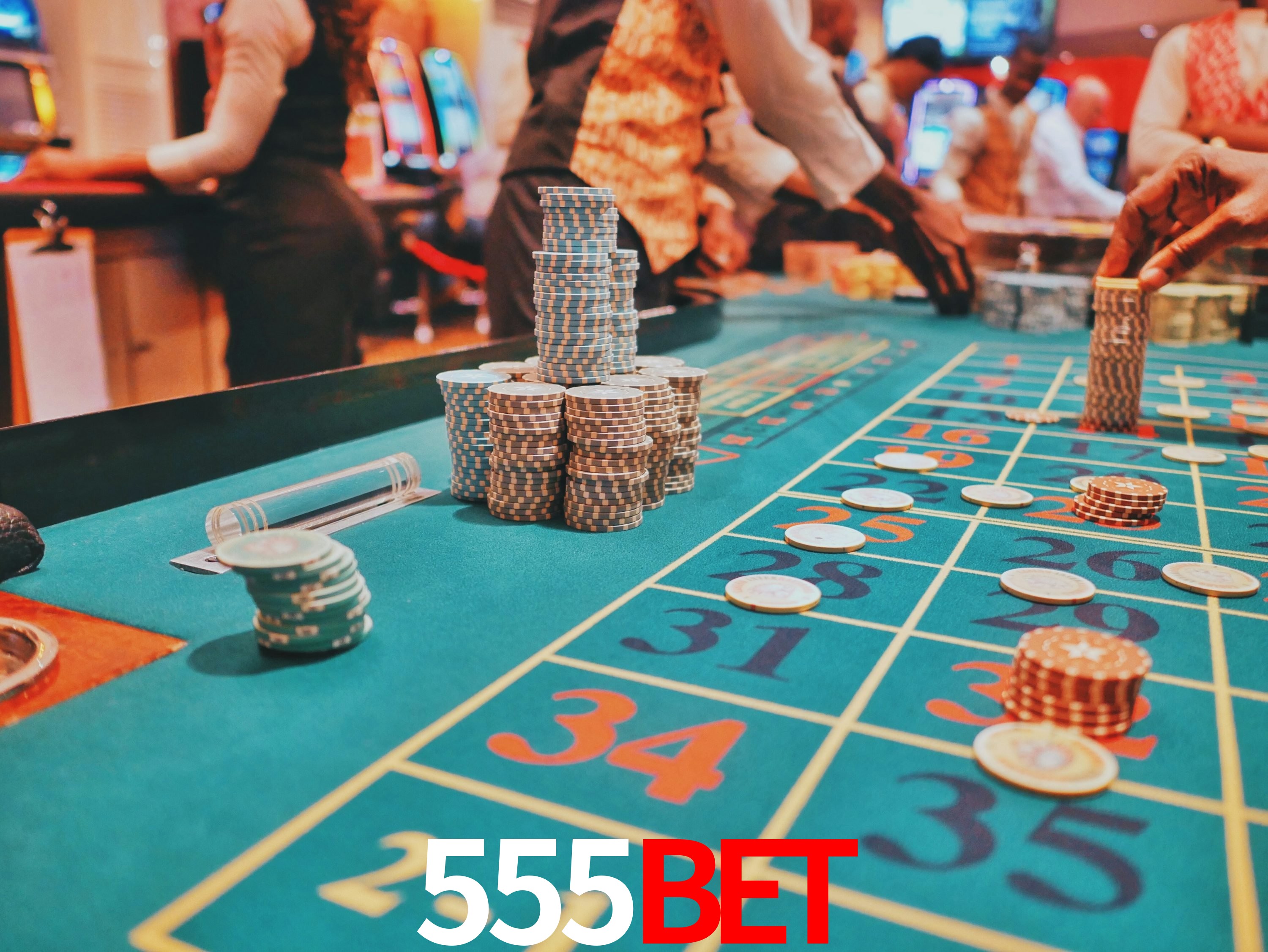 Sports Statistics 555bet